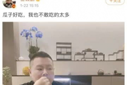 娱乐圈吃瓜点评,揭秘明星幕后真相与八卦点评