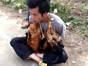 日本搞鸡视频,背后隐藏的惊人真相