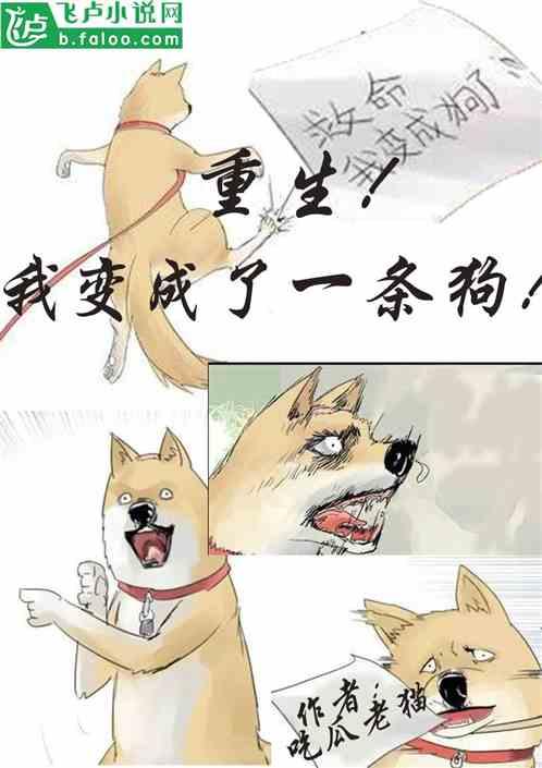 娱乐吃瓜宠物小说免费阅读