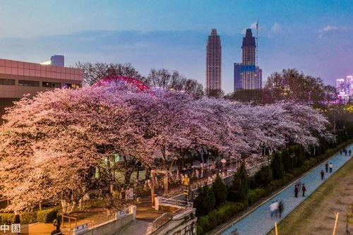 抖音最新吃瓜爆料入口